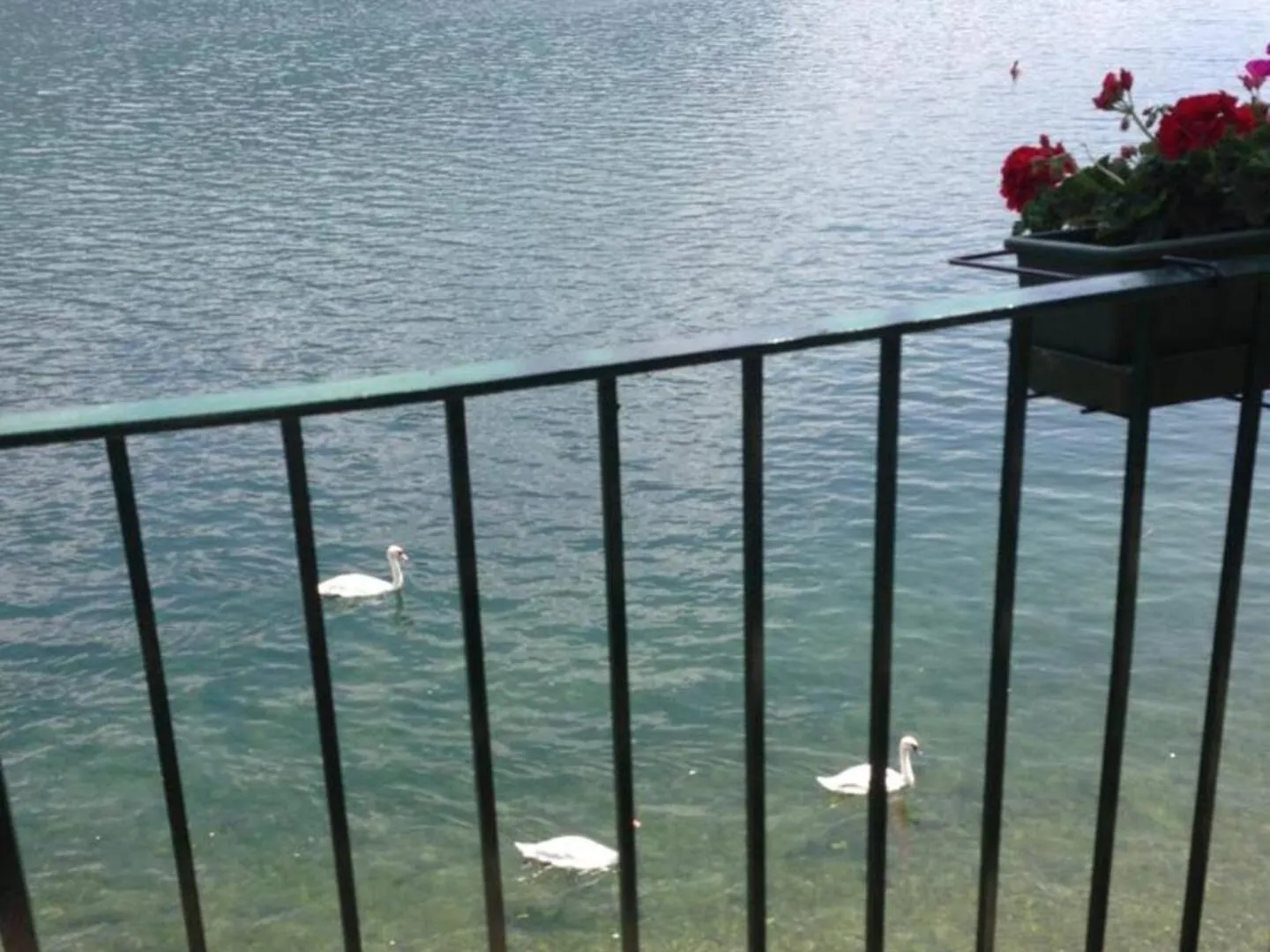 House Lake - Pescate - Lecco Galbiate Апартаменты